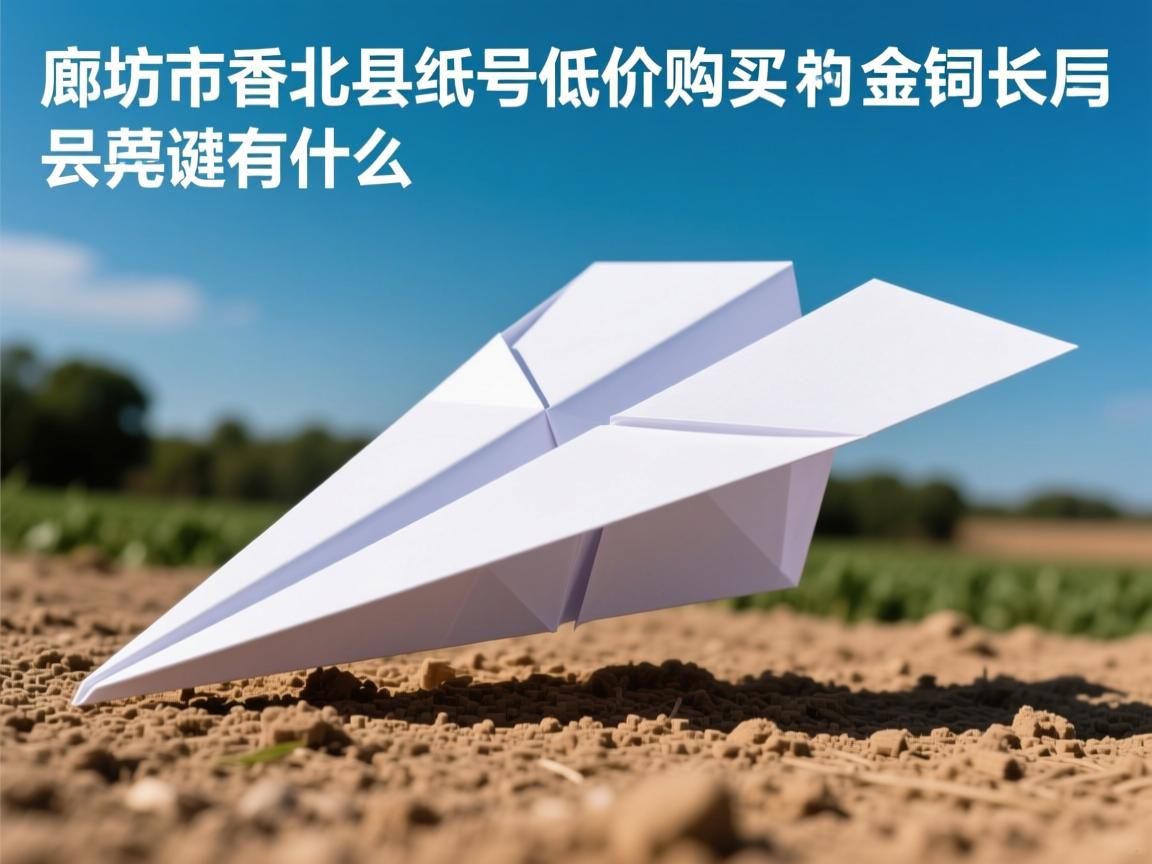 廊坊市香河县纸飞机账号低价购买的相关长尾关键词有什么