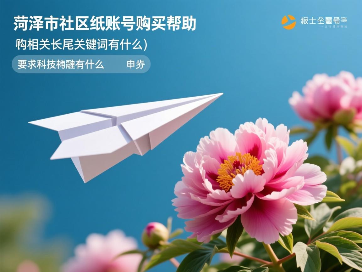 菏泽市牡丹区纸飞机账号购买帮助的相关长尾关键词有什么