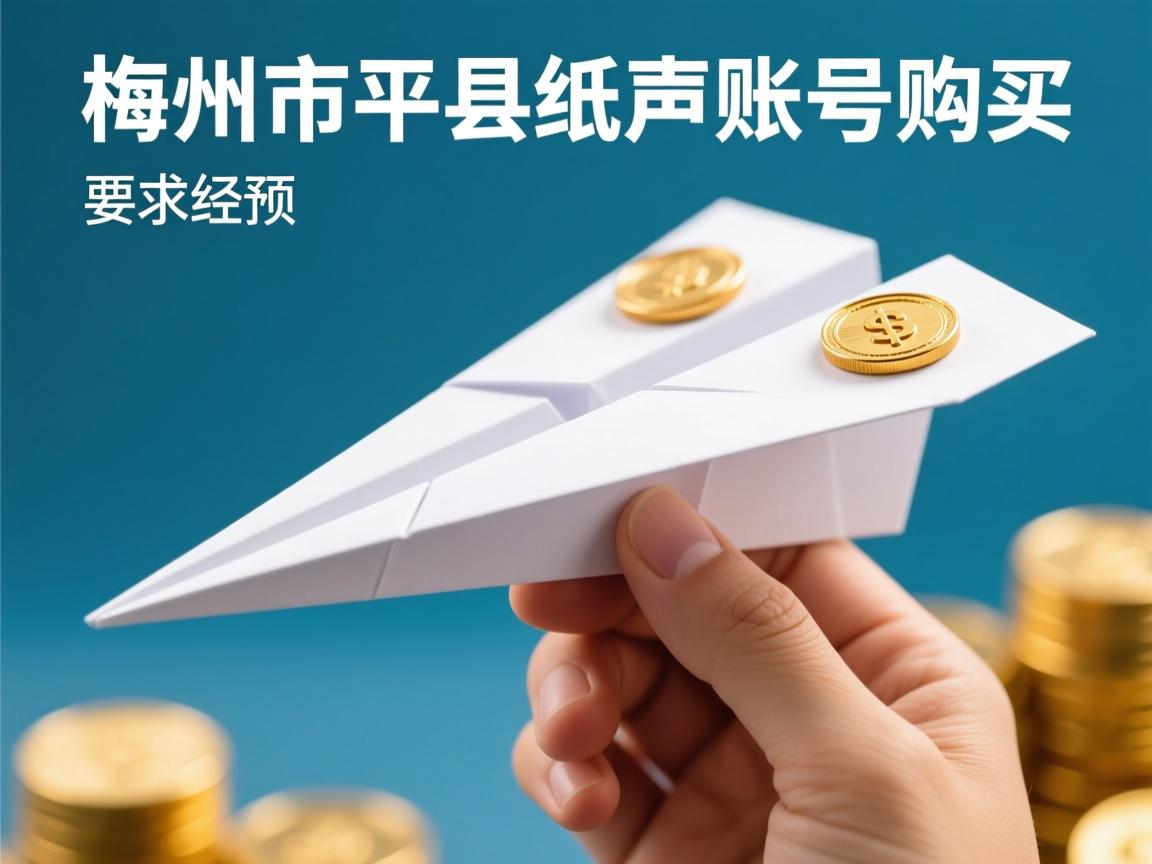 梅州市平远县纸飞机账号购买