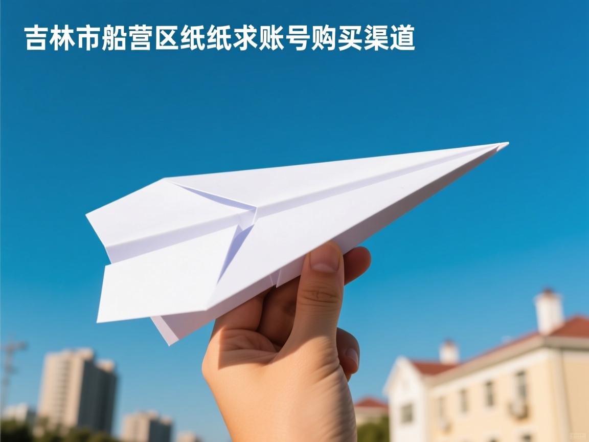 吉林市船营区纸飞机账号购买渠道