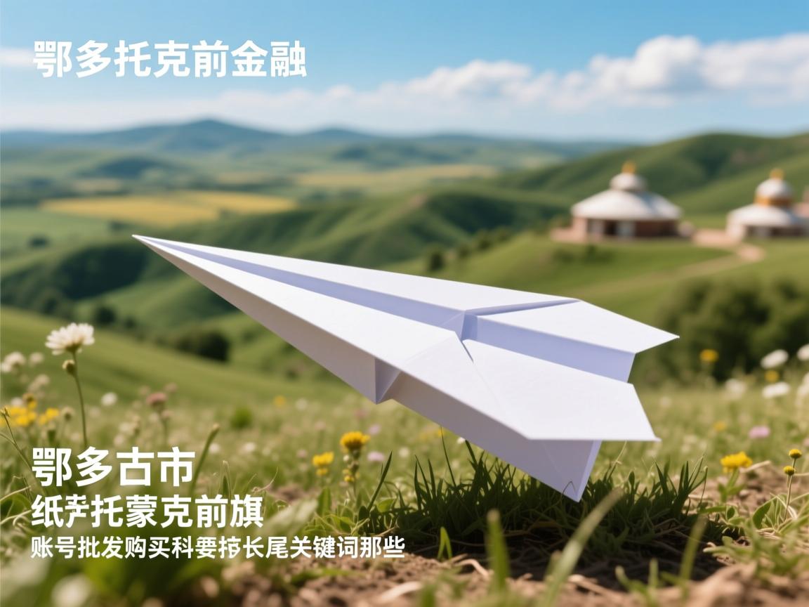 鄂尔多斯市鄂托克前旗纸飞机账号批发购买的相关长尾关键词是那些