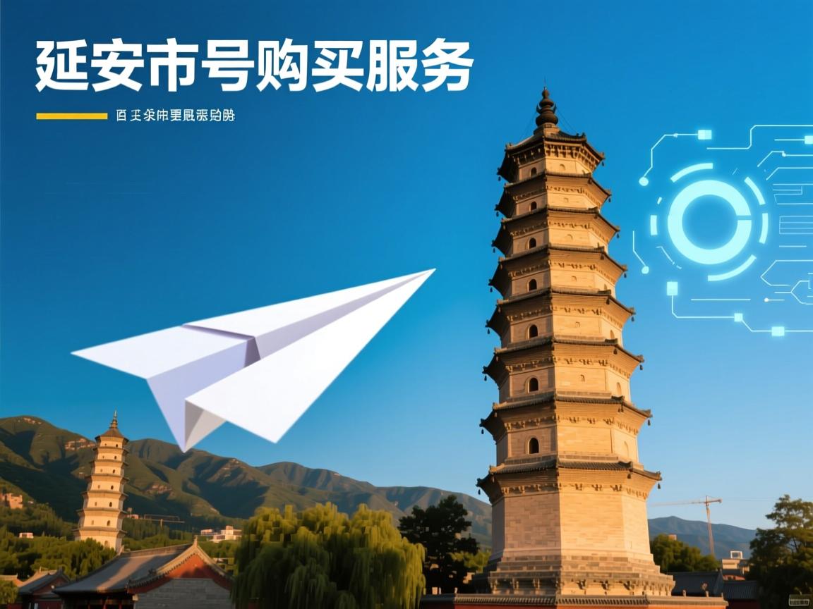 延安市宝塔区纸飞机账号购买服务