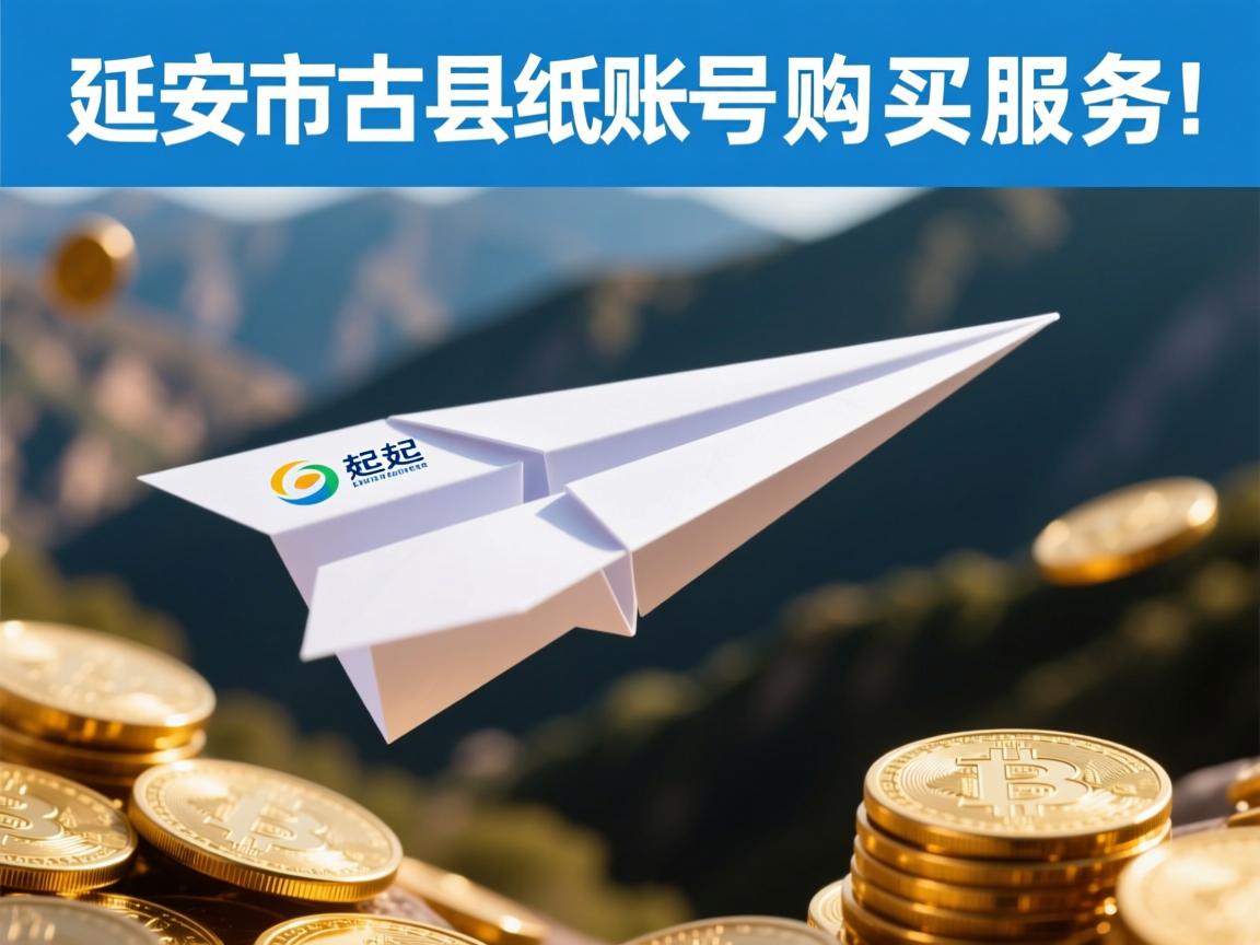 延安市吴起县纸飞机账号购买服务