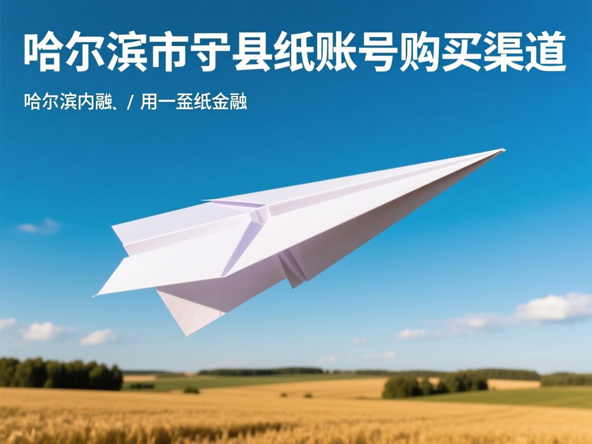 哈尔滨市延寿县纸飞机账号购买渠道