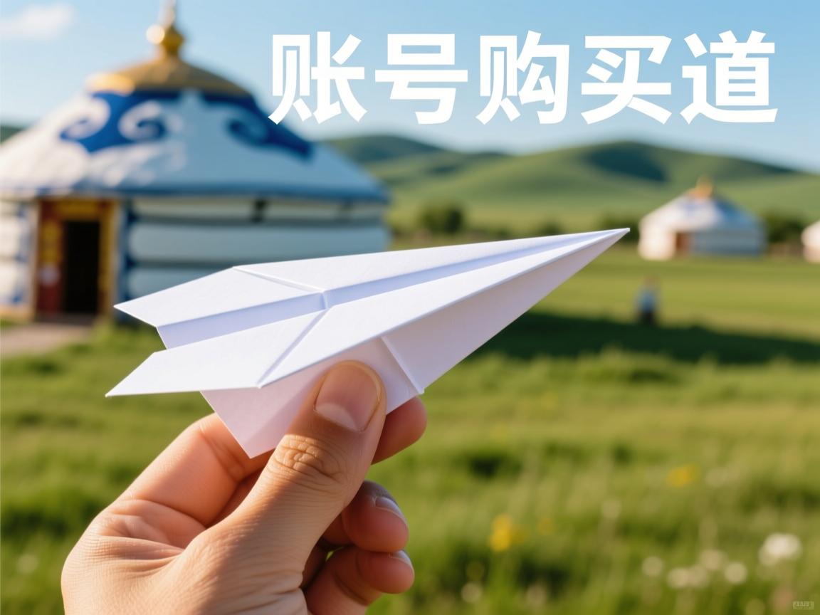 齐齐哈尔市梅里斯达斡尔族区纸飞机账号购买渠道