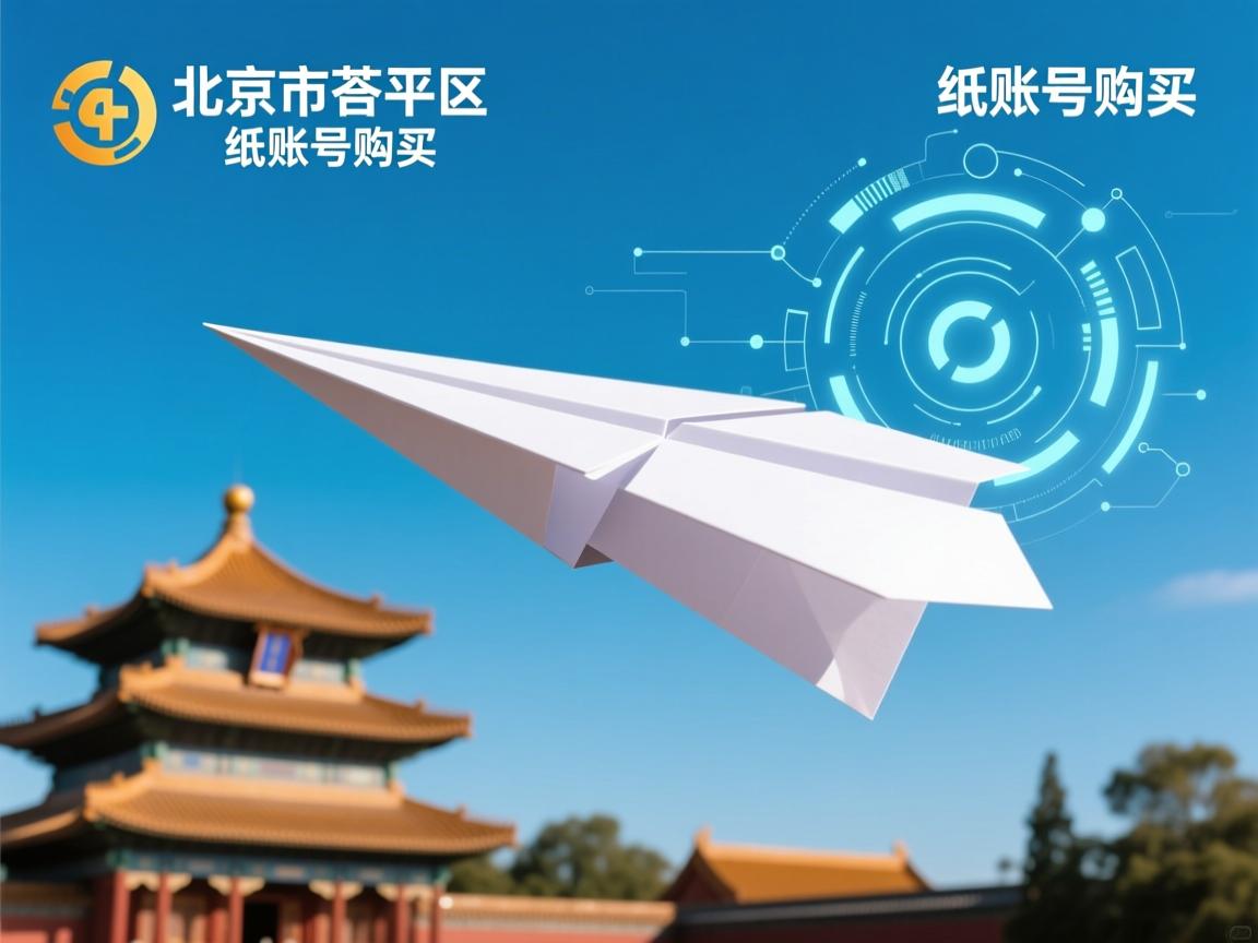 北京市平谷区纸飞机账号购买