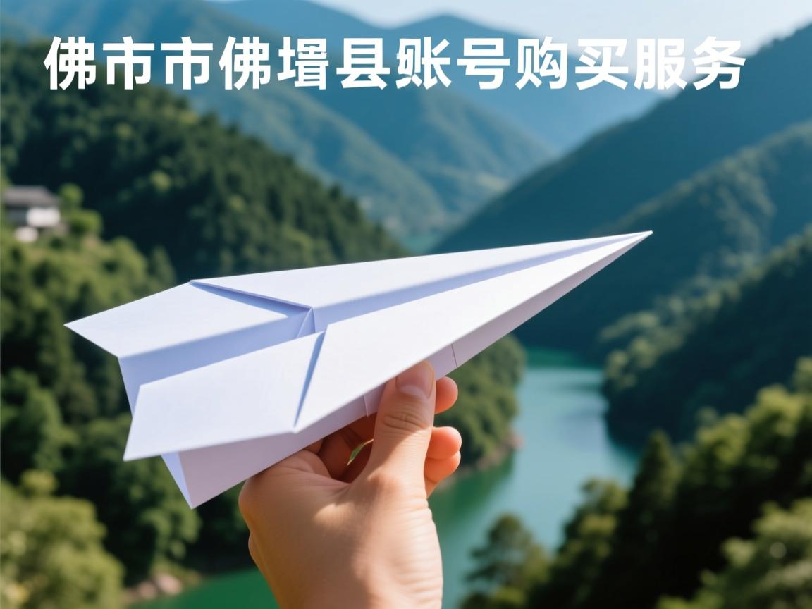 汉中市佛坪县纸飞机账号购买服务