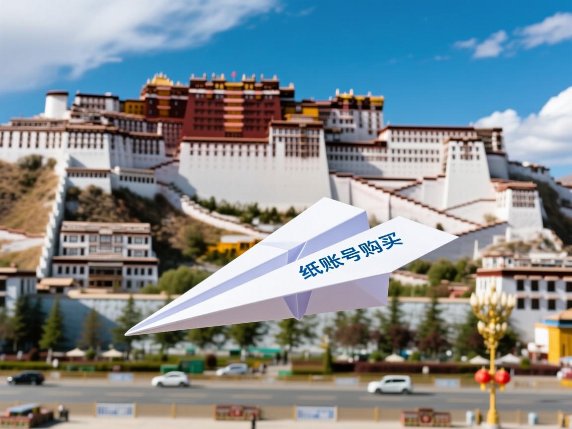 拉萨市城关区纸飞机账号购买